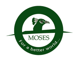 Moses Transport logo